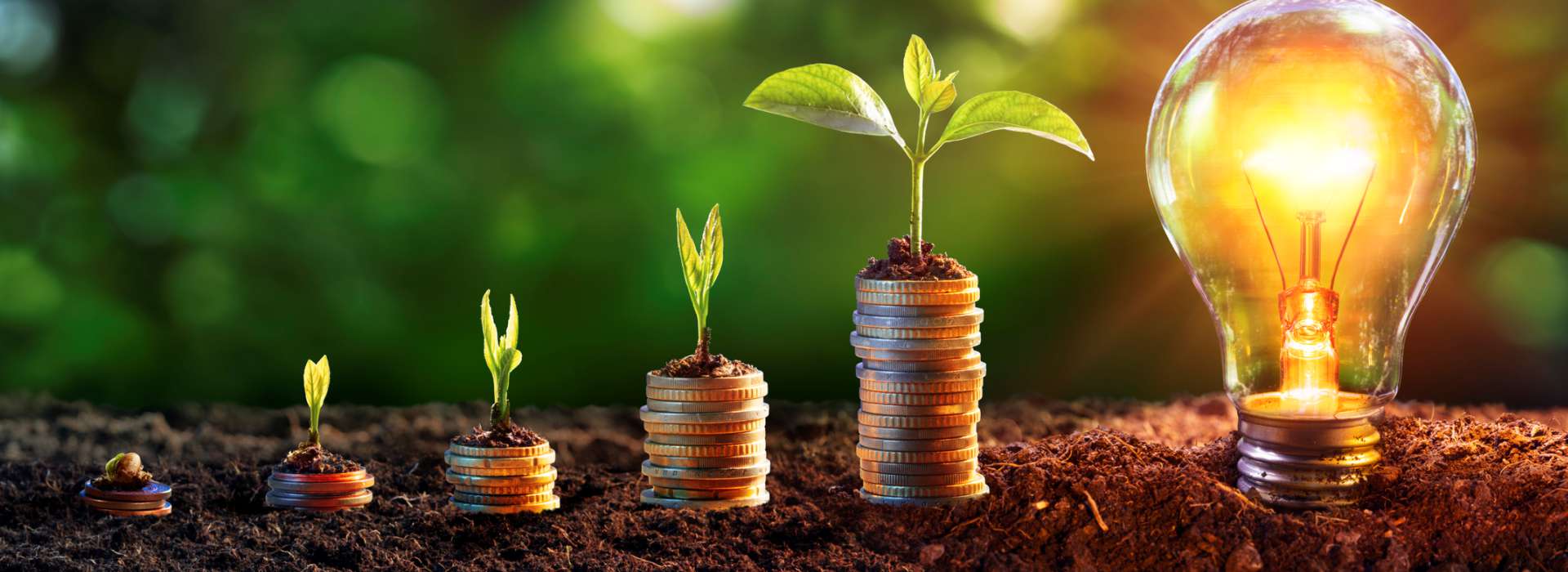 Sustainable Gold Coast Gold Coast skyline